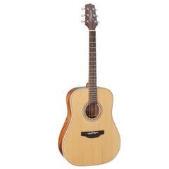 TAKAMINE GD20-NS