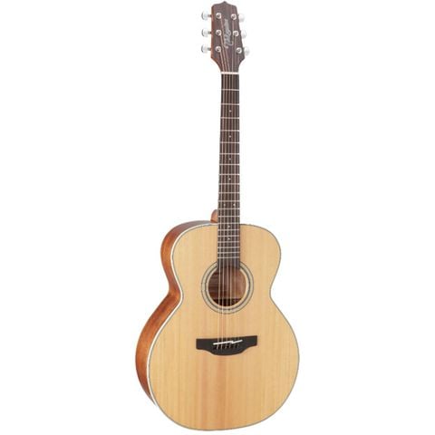  TAKAMINE GN20-NS 
