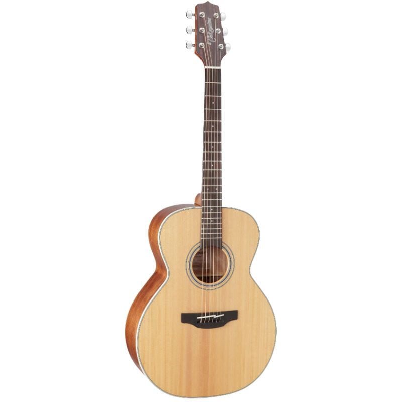  TAKAMINE GN20-NS 