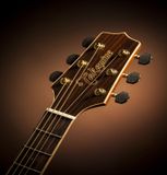  TAKAMINE GN93CE-NAT 