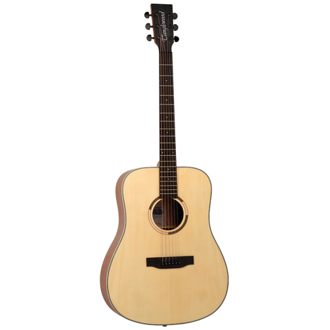 dan-guitar-tanglewood-ts5