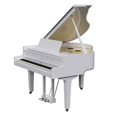 ROLAND GP-9M-PW