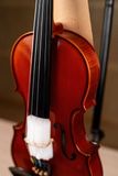  PHOENIX Violin VP202E size 4/4 