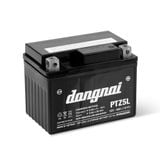  Ắc quy khô miễn bảo dưỡng Đồng Nai PTZ5L - 12V - 4Ah 