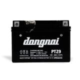  Ắc quy khô miễn bảo dưỡng Đồng Nai PTZ9 - 12V - 9Ah 