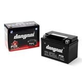  Ắc quy khô miễn bảo dưỡng Đồng Nai PTZ9 - 12V - 9Ah 