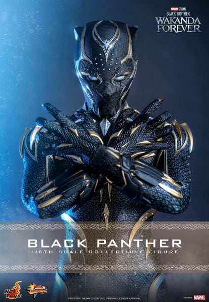 [ĐẶT TRƯỚC] HOT TOYS MMS675 : BLACK PANTHER: WAKANDA FOREVER - BLACK PANTHER