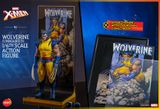 [ĐẶT TRƯỚC]  Hot Toys x HONO STUDIO HS06 : X-MEN WOLVERINE (UNMASKED) VERSION ACTION FIGURE