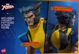 [ĐẶT TRƯỚC]  Hot Toys x HONO STUDIO HS06 : X-MEN WOLVERINE (UNMASKED) VERSION ACTION FIGURE