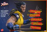 [ĐẶT TRƯỚC]  Hot Toys x HONO STUDIO HS06 : X-MEN WOLVERINE (UNMASKED) VERSION ACTION FIGURE