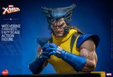 [ĐẶT TRƯỚC]  Hot Toys x HONO STUDIO HS06 : X-MEN WOLVERINE (UNMASKED) VERSION ACTION FIGURE