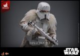 [ ĐẶT TRƯỚC ] HOT TOYS EXCLUSIVE - HOT TOYS MMS768 Star Wars™ - Range Trooper™