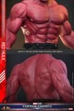 [ĐẶT TRƯỚC] HOT TOYS MMS797 : CAPTAIN AMERICA: BRAVE NEW WORLD : RED HULK 1/6TH SCALE COLLECTIBLE FIGURE