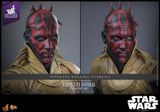 [ĐẶT TRƯỚC] HOT TOYS EXCLUSIVE MMS778 : Star Wars: Episode I The Phantom Menace™ Darth Maul™ (Concept Art) - World Version 1/6th scale Collectible Figure