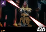 [ĐẶT TRƯỚC] HOT TOYS EXCLUSIVE MMS778 : Star Wars: Episode I The Phantom Menace™ Darth Maul™ (Concept Art) - World Version 1/6th scale Collectible Figure