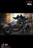 [ĐẶT TRƯỚC] HOT TOYS MMS703 - THE FLASH : BATMAN