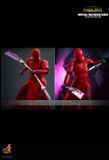 [ĐẶT TRƯỚC] HOT TOYS TMS107 :  THE MANDALORIAN™ IMPERIAL PRAETORIAN GUARD™