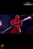 [ĐẶT TRƯỚC] HOT TOYS TMS107 :  THE MANDALORIAN™ IMPERIAL PRAETORIAN GUARD™