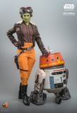 [ĐẶT TRƯỚC] HOT TOYS TMS113 : STAR WARS: AHSOKA™ - HERA SYNDULLA
