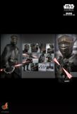 [ĐẶT TRƯỚC] HOT TOYS TMS117 : STAR WARS: AHSOKA™ - MARROK™