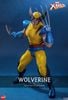 [ĐẶT TRƯỚC]  Hot Toys x HONO STUDIO HS01 : X-MEN WOLVERINE ACTION FIGURE