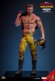 [ĐẶT TRƯỚC] HOT TOYS MMS756  : DEADPOOL & WOLVERINE - WOLVERINE (TVA JACKET)