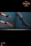 [ĐẶT TRƯỚC] HOT TOYS MMS781  : DEADPOOL & WOLVERINE : X-23