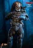 [ĐẶT TRƯỚC] HOT TOYS MMS817 Predator - Predator (2.0) Deluxe Version 1/6th scale Collectible Figure