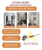  Gel xử lý gián sinh học Zentek nhập khẩu Hàn Quốc chuyên xử lý gián Đức chung cư, căn hộ, spa loại 35 gram giá hợp lý nhất thị trường 