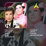  Băng Cassette Song Ca Tuấn Vũ – Phi Nhung | Nhạc Vàng & Dân Ca Trữ Tình | 90 Phút (Thâu Nhạc Theo Yêu Cầu) 