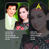  Băng Cassette Song Ca Tuấn Vũ – Phi Nhung | Nhạc Vàng & Dân Ca Trữ Tình | 90 Phút (Thâu Nhạc Theo Yêu Cầu) 