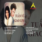  Băng Cassette Song Ca Tuấn Vũ – Giao Linh | Nhạc Vàng Trữ Tình | 90 Phút (Thâu Băng Theo Yêu Cầu) 
