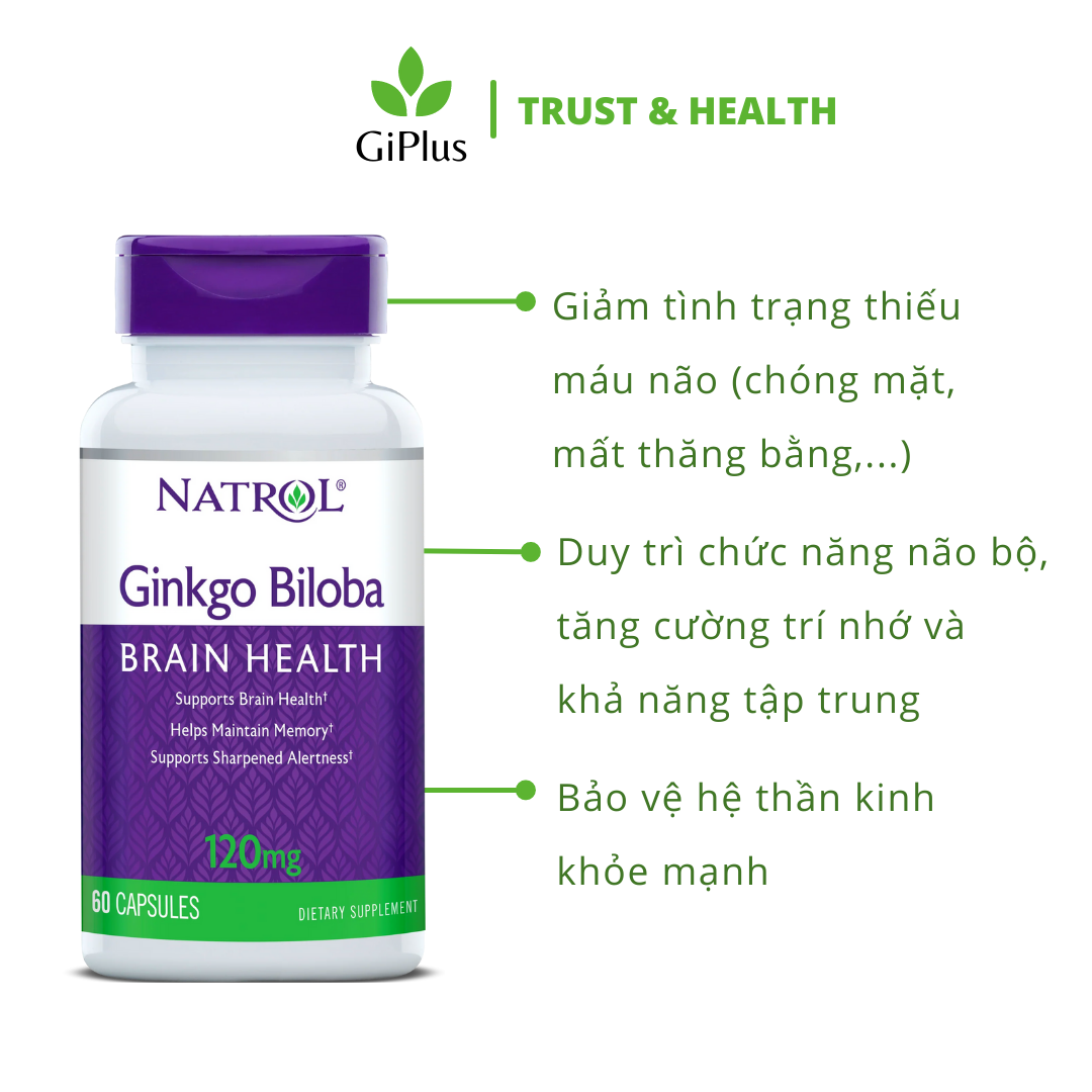  Viên Uống Bổ Não, Tăng Tuần Hoàn Máu Não, Cải Thiện Trí Nhớ Natrol Ginkgo Biloba Brain Health 120mg (60 viên/lọ) 