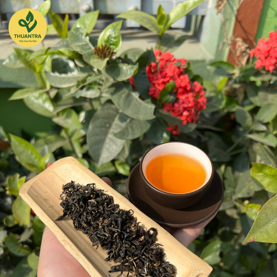  Hồng trà - Trà đen shan tuyết 2 lá - Thuận Trà Tân Cương - Đặc sản Hồng Trà Shan Tuyết 