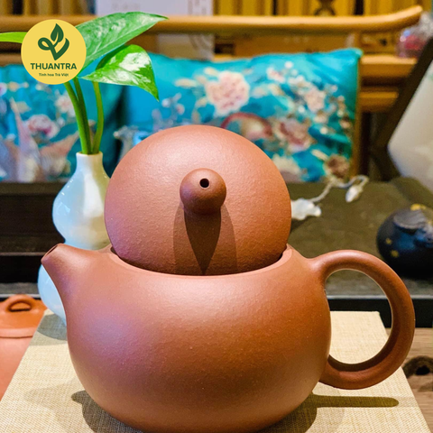  Ấm Tử Sa Tây Thi Nghi Hưng - Ấm Tử Sa Trung Quốc - Thuận Trà Tân Cương 