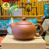  Ấm Tử Sa Tây Thi Nghi Hưng - Ấm Tử Sa Trung Quốc - Thuận Trà Tân Cương 