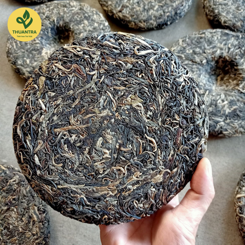  Bánh Trà Shan Tuyết - Thuận Trà Tân Cương 