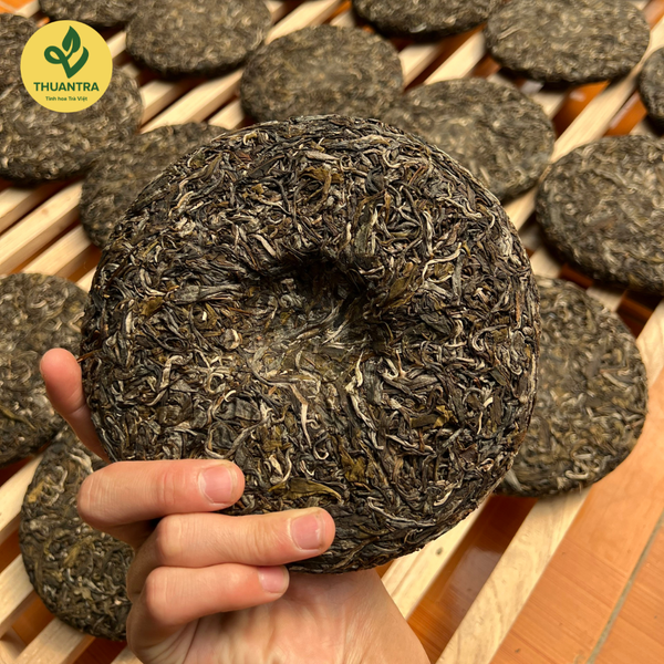 Nghệ Thuật Làm Bánh Trà Shan: Hương Vị Từ Tâm Hồn Tây Bắc