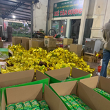  Kẹo lạc trà xanh VietGap cao cấp - Thuận trà Tân Cương 