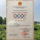  Tâm trà Nõn Tôm - Hộp trà nõn hảo hạng 200Gr - Quà tặng cao cấp Thuận Trà Tân Cương 