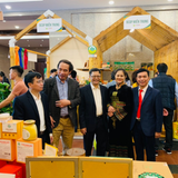  Tâm trà Nõn Tôm - Hộp trà nõn hảo hạng 200Gr - Quà tặng cao cấp Thuận Trà Tân Cương 