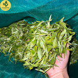  Trà xanh shan tuyết 1 lá - Lục Trà Shan Tuyết Thuận Trà Tân Cương - Trà OCOP 5 sao 