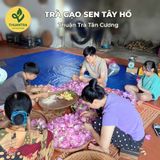  Trà Gạo Sen Bách Diệp Tây Hồ - Thuận Trà Tân Cương - Trà Thái Nguyên chuẩn VietGap, OCOP 4 Sao 