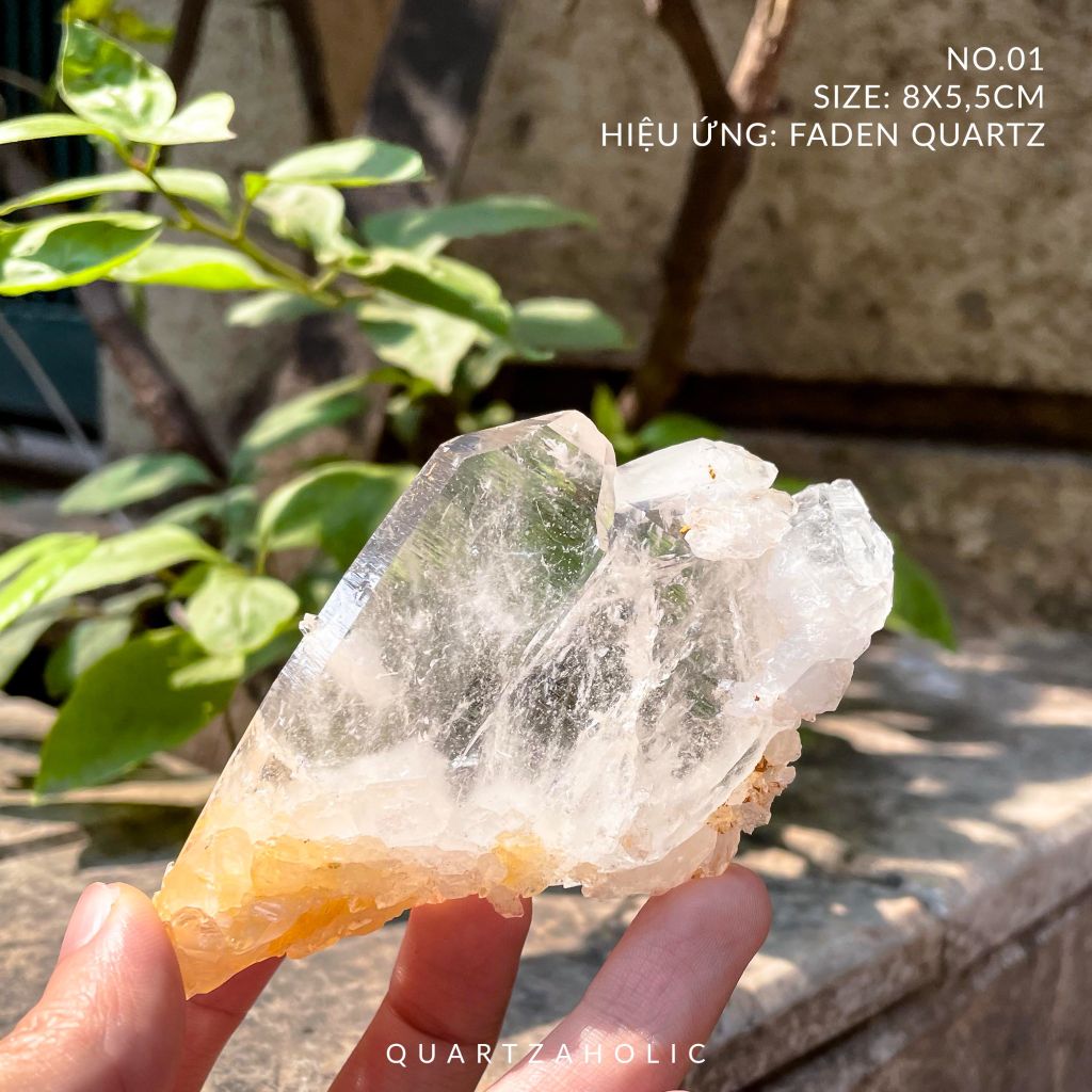 Cụm tinh thể Clear Quartz