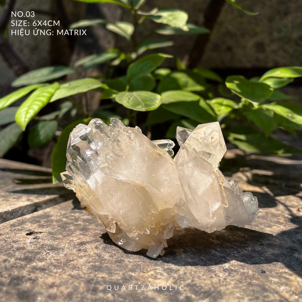 Cụm tinh thể Clear Quartz