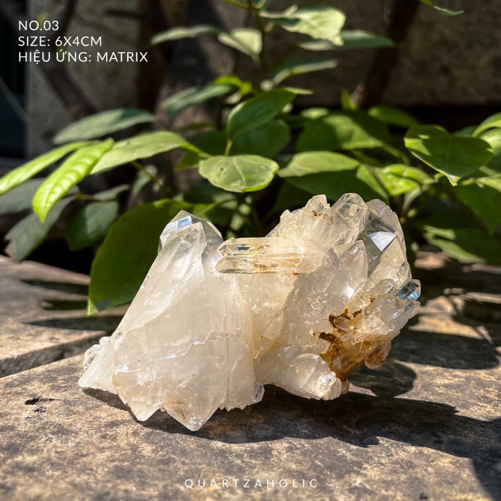 Cụm tinh thể Clear Quartz