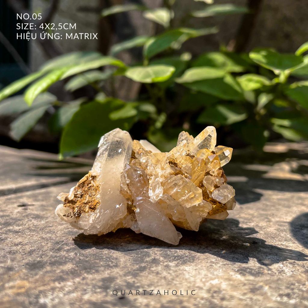 Cụm tinh thể Clear Quartz