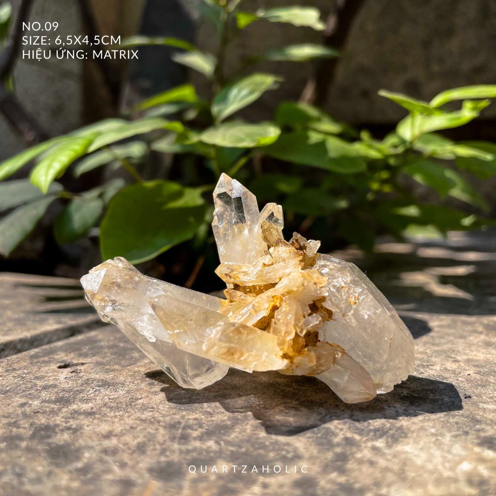 Cụm tinh thể Clear Quartz