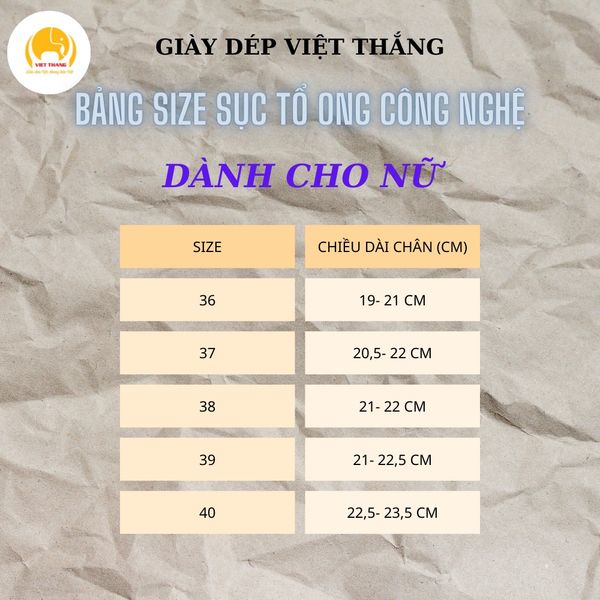 Dép sục tổ ong nhựa dành cho nữ, kiểu dáng thời trang - Công nghệ Nano - Chống hôi chân, bám bẩn - Việt Thắng