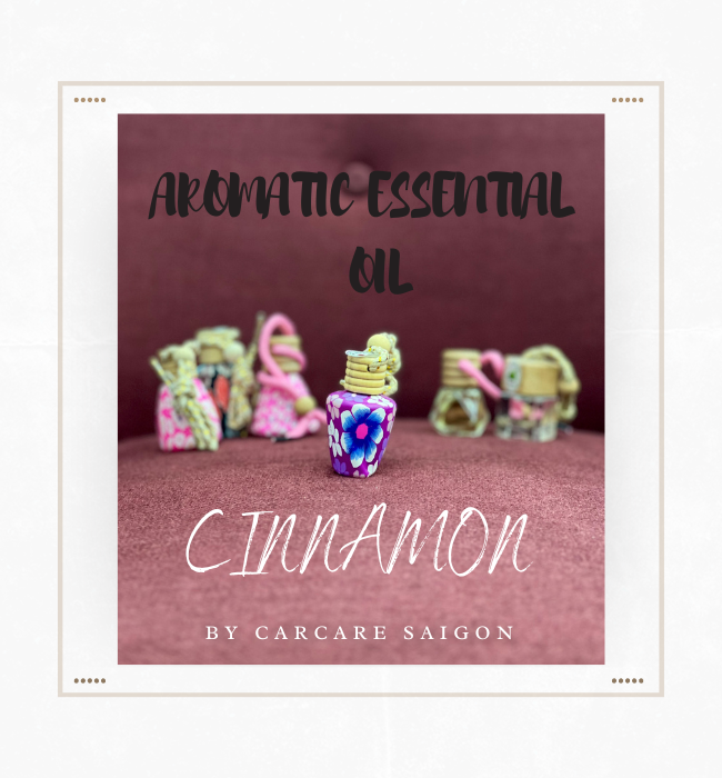 Tinh dầu hương thơm tự nhiên treo xe ô tô giúp khử mùi, chống say xe